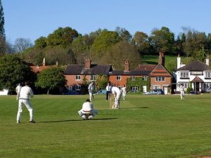 Shamley Green Cricket Green