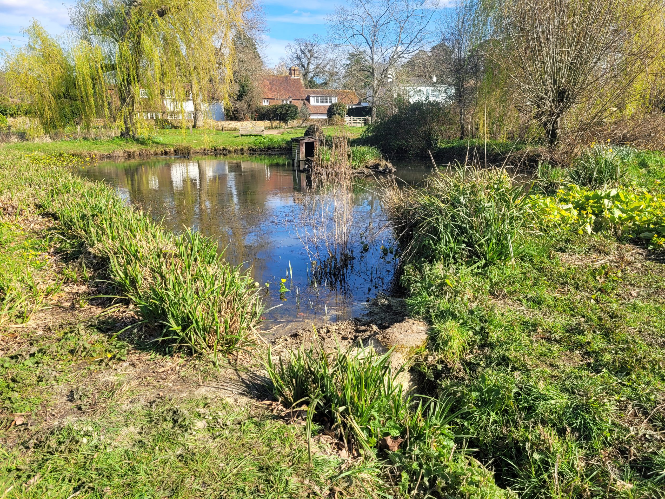 The 'Duck Pond' in Shamley Green in mid Spring